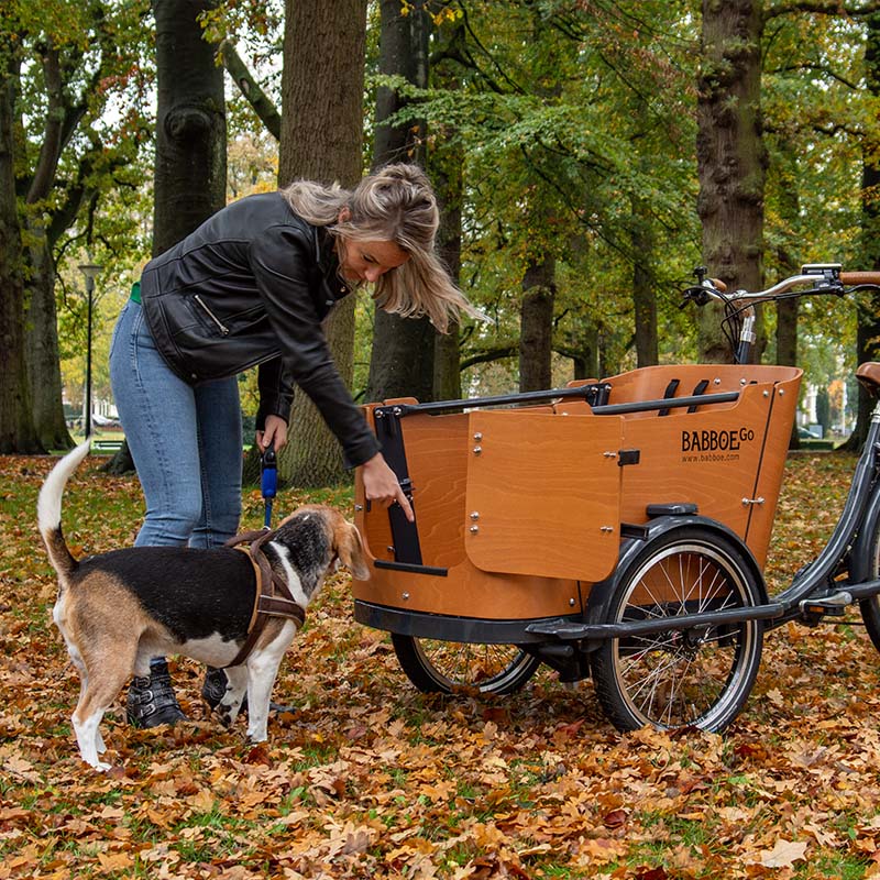 My electric dog cargo bike and i Babboe