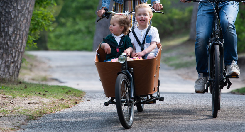 Bike carrier for twins deals