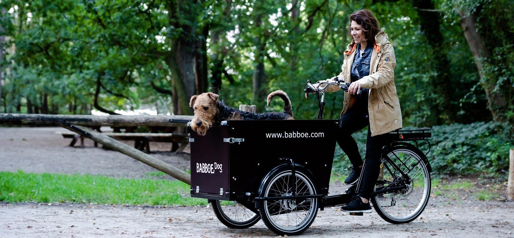 Securing your dog in a cargo bike