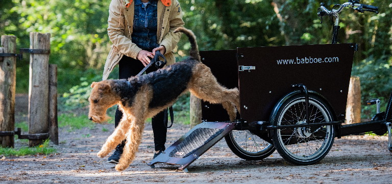 bakfiets-keuzehulp bakfiets-keuzehulp