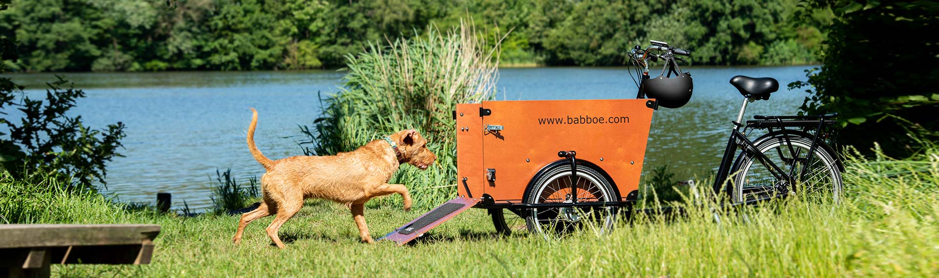 Dog accessories cargo bike