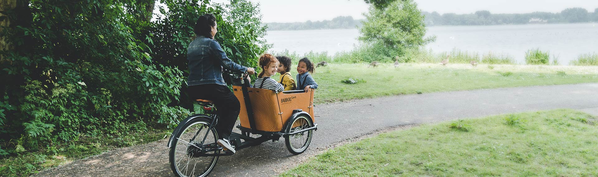 Non-electric cargo bike