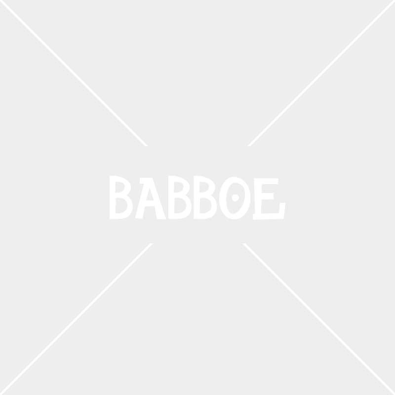 Babboe Big-E cargo bike: fast and safe 