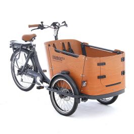 Electric Babboe Go-E Cargo Bike for Dog & 1-2 Children