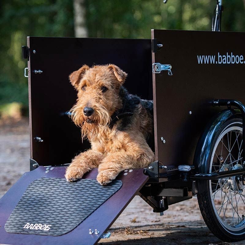 Groenten Bezienswaardigheden bekijken Lift Babboe Dog Cargo Bike: The means of transport for Dogs | Babboe