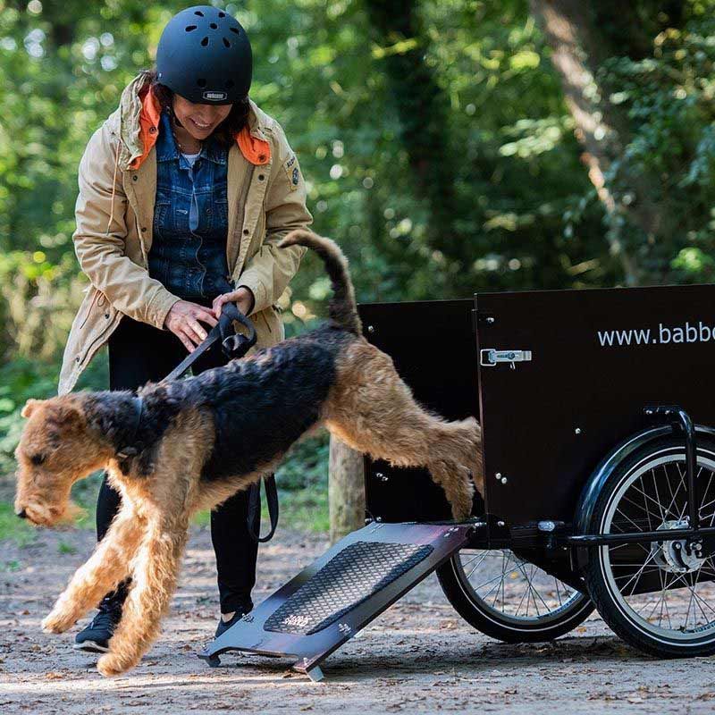 Groenten Bezienswaardigheden bekijken Lift Babboe Dog Cargo Bike: The means of transport for Dogs | Babboe