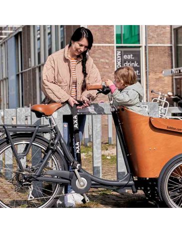 Kingpolis cargo bike insurance