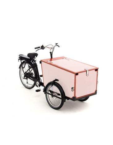 Babboe cargo bike stickers Pro Trike wood - 4 sides + lid