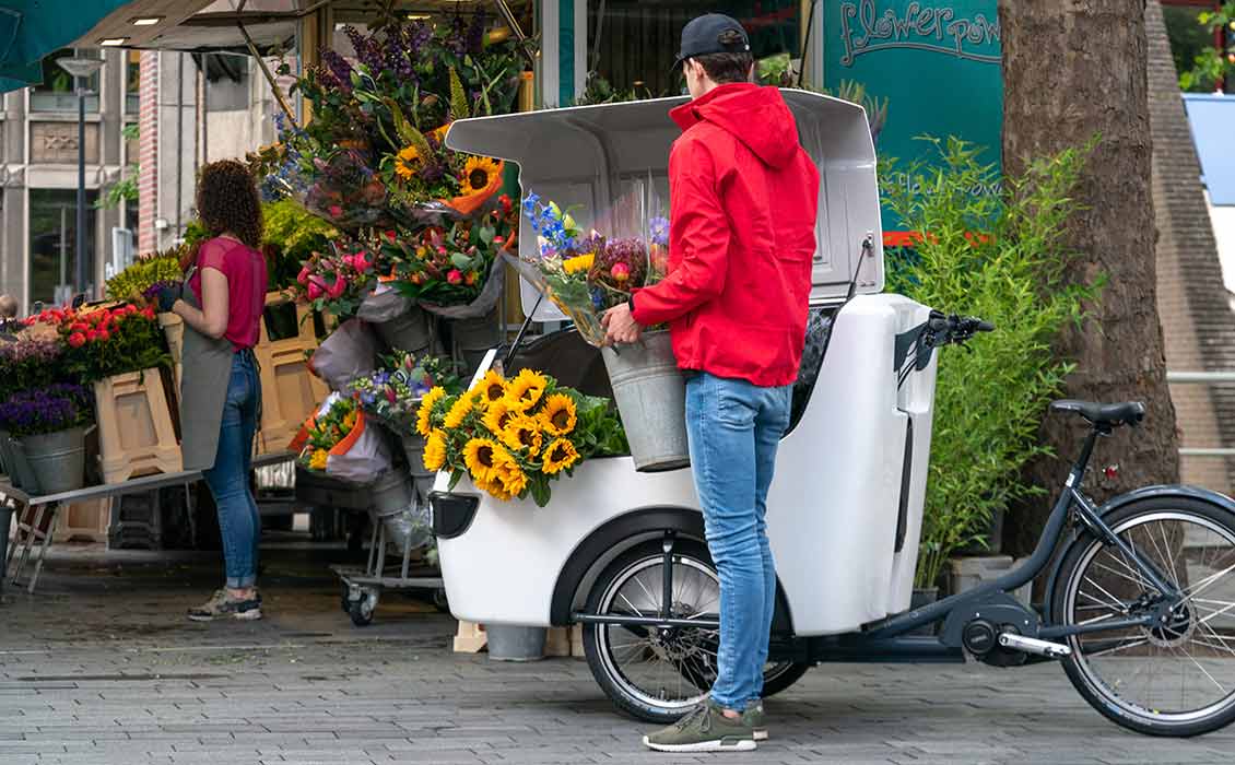 cargo e bike cargo e bike