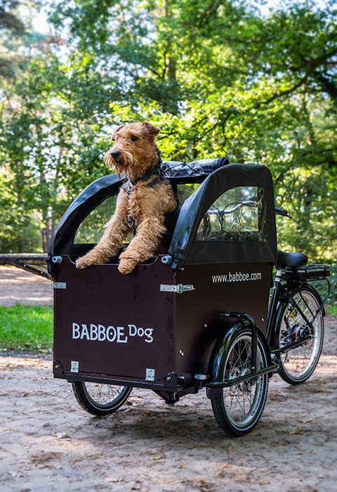The cargo bike everyone | Babboe