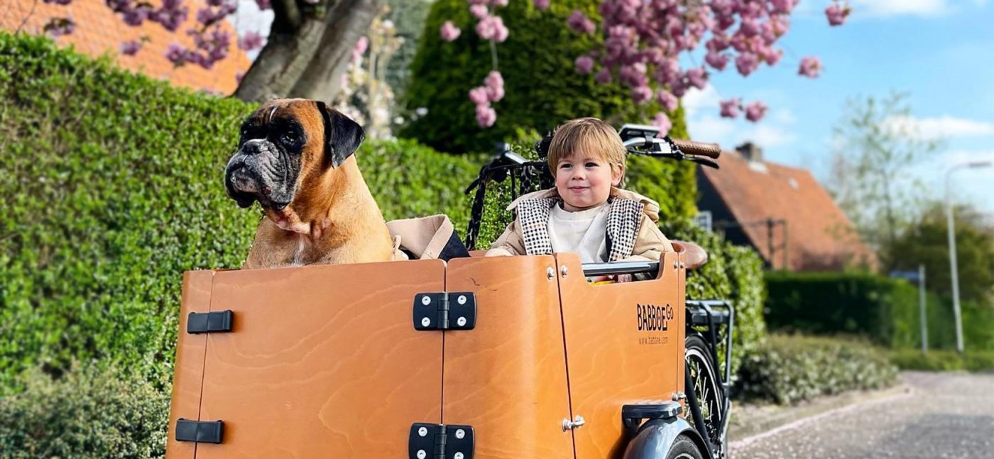 Pour Babboe Cargo Vélo Dog-E Modèle 2014/2015, Lion E-Bike Batterie 26